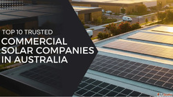Commercial Solar Companies How to Choose the Right Partner f...