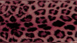 Best digital marketer in kasaragod