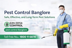 Home Pest Control in Bangalore - Safe Affordable Treatment
