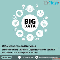 EnFuse Empowers Organizations with Scalable Data Management ...