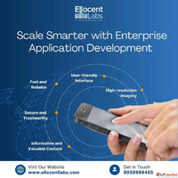 Enterprise Application Development Services Ellocent Labs