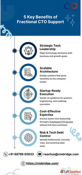 CTO Bridge AI Digital Transformation for SMBs
