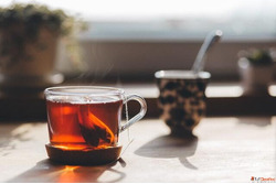 Explore Modern Lifestyle Trends with PPVW