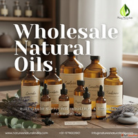 Wholesale Natural Oils 2025 Pure Grade Supply for Industrial...