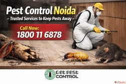 Top Pest Control Noida Services to Protect Your Home and Bus...