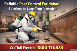 Pest Control Faridabad Securing Homes and Commercial Establi...