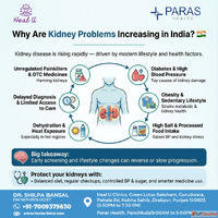 Best Doctor for Diabetes in Panchkula Diabetic Kidney Care b...