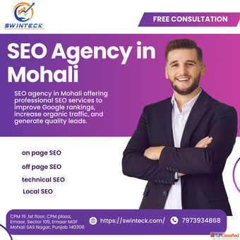 SEO Agency in Mohali