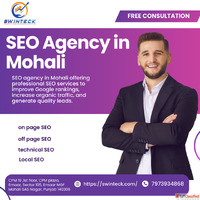 SEO Agency in Mohali