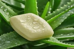 Herbal Soap Suppliers in Maharashtra