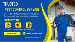 Trusted Pest Control Service in Gurgaon