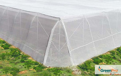 Insect Net for Crop Protection and Healthy Farming GreenPro ...