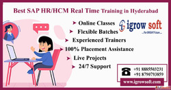 Best SAP HCM Online Training in Hyderabad Igrowsoft