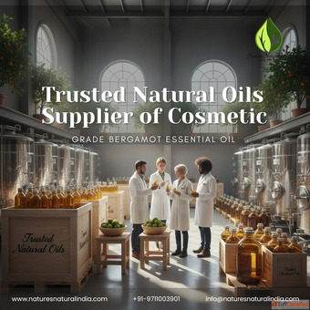 Trusted Natural Oils Suppliers of Cosmetic-Grade Bergamot Essential Oil