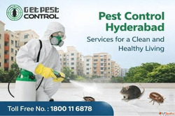 Comprehensive Guide to Pest Control Hyderabad - Get Pest Con...