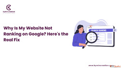 WordPress Development Company In Ahmedabad Custom Websites b...