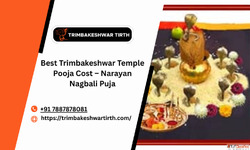 Best Trimbakeshwar Temple Pooja Cost - Narayan Nagbali Puja