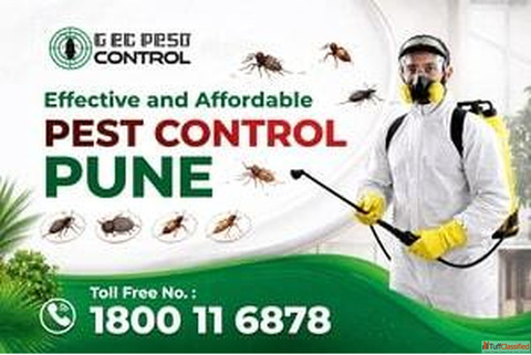 Trusted Pest Control in Pune for Homes Offices