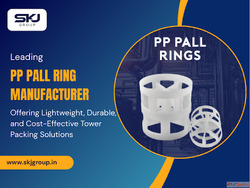 PP Pall Ring Manufacturer for Industrial Packing