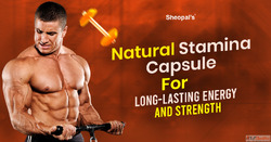 Which Stamina Capsule Is Best