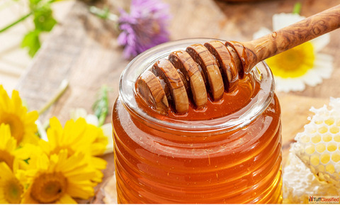 Best Raw Honey Suppliers in Chhattisgarh