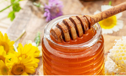 Best Raw Honey Suppliers in Chhattisgarh