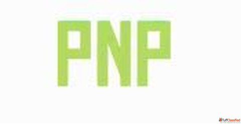 Pain Nil Powder Ayurvedic Relief for Pain