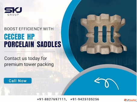 Cecebe HP Porcelain Saddles for Process Towers