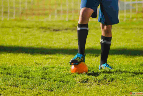 Fairplay App - Play Smart with Online Sports Action Live Features