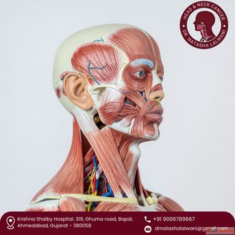 Best Head Neck Cancer Surgeon in Ahmedabad for Advanced Cancer Care