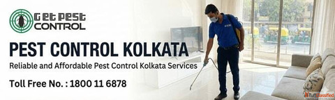 Professional Pest Control Kolkata Services for Homes and Businesses
