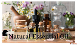 Premium Wholesale Natural Oils Certified Global Manufacturer...