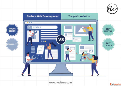 Custom Web Development vs. Template Websites