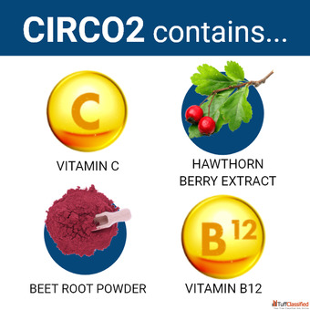 Nitric Oxide Booster Supplements - health