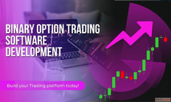 Binary Trading Software Development Launch Your Platform Tod...