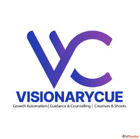 VisionaryCue Growth Automation Career Counselling Creative B...