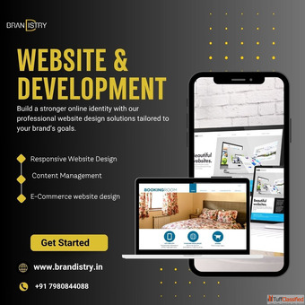 Professional Website Design Service in Mumbai India Brandistry