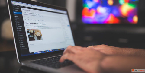 Top Ways to Make Money Using Government Website Without Paying