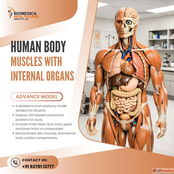 Indian Nursing Council Norms and Guidelines