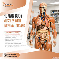 Indian Nursing Council Norms and Guidelines