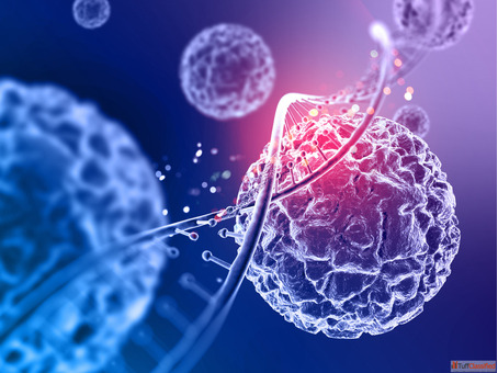 Integrative Oncology Using Homeopathy for Natural Cancer Support