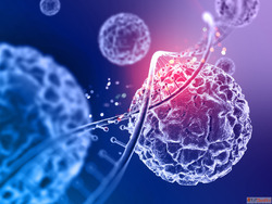 Integrative Oncology Using Homeopathy for Natural Cancer Sup...