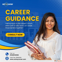 Career Guidance and Counselling for Students Professionals -...