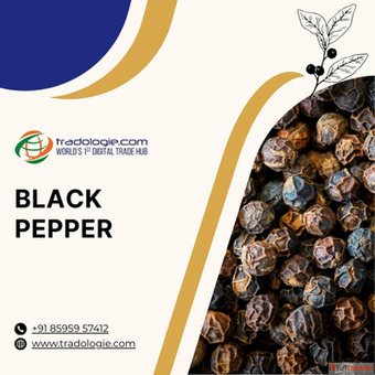 Premium Black Pepper - High-Quality Spice for Global Trade