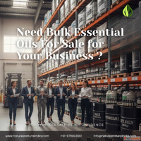 Need Bulk Essential Oils For Sale for Your Business Buy Whol...
