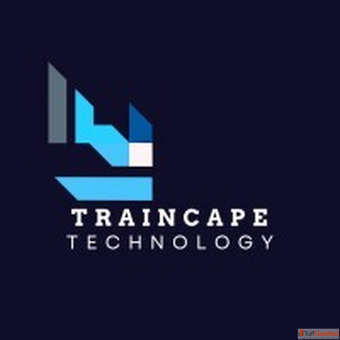 Professional IT Cybersecurity Certification Training - CompTIA Cisco PECB ISACA PMI etc.