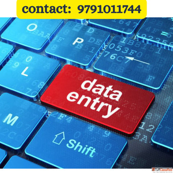 Home based Data entry genuine project work with your flexible timings
