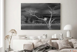 Modern Kitchen Wall Art to Uplift Your Kitchen Space