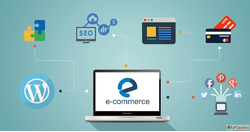 Ecommerce Development Services in Jaipur