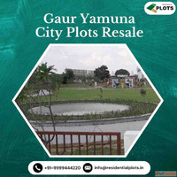 Gaur Yamuna City Plots Resale